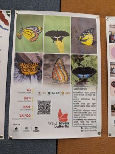 Poster of Wiki Loves Butterfly at the Bangla WikiConference Bangladesh 2024 by Mayeenul Islam